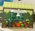 Tea Tree Lemon Sage Kit